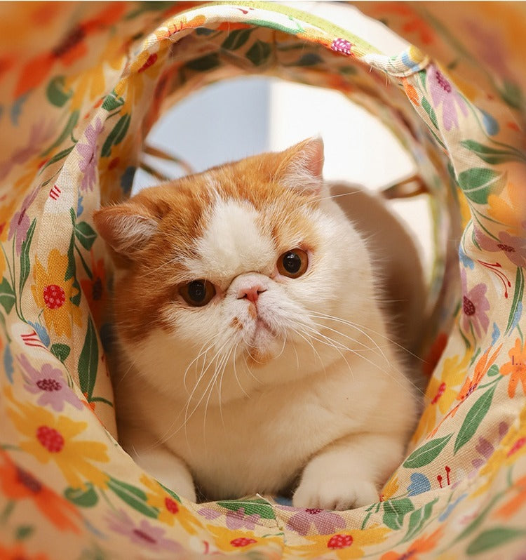 Cat Tunnel Toy