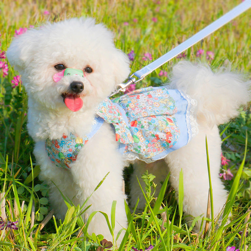 Summer Floral Dress Leash Set for Small Breeds