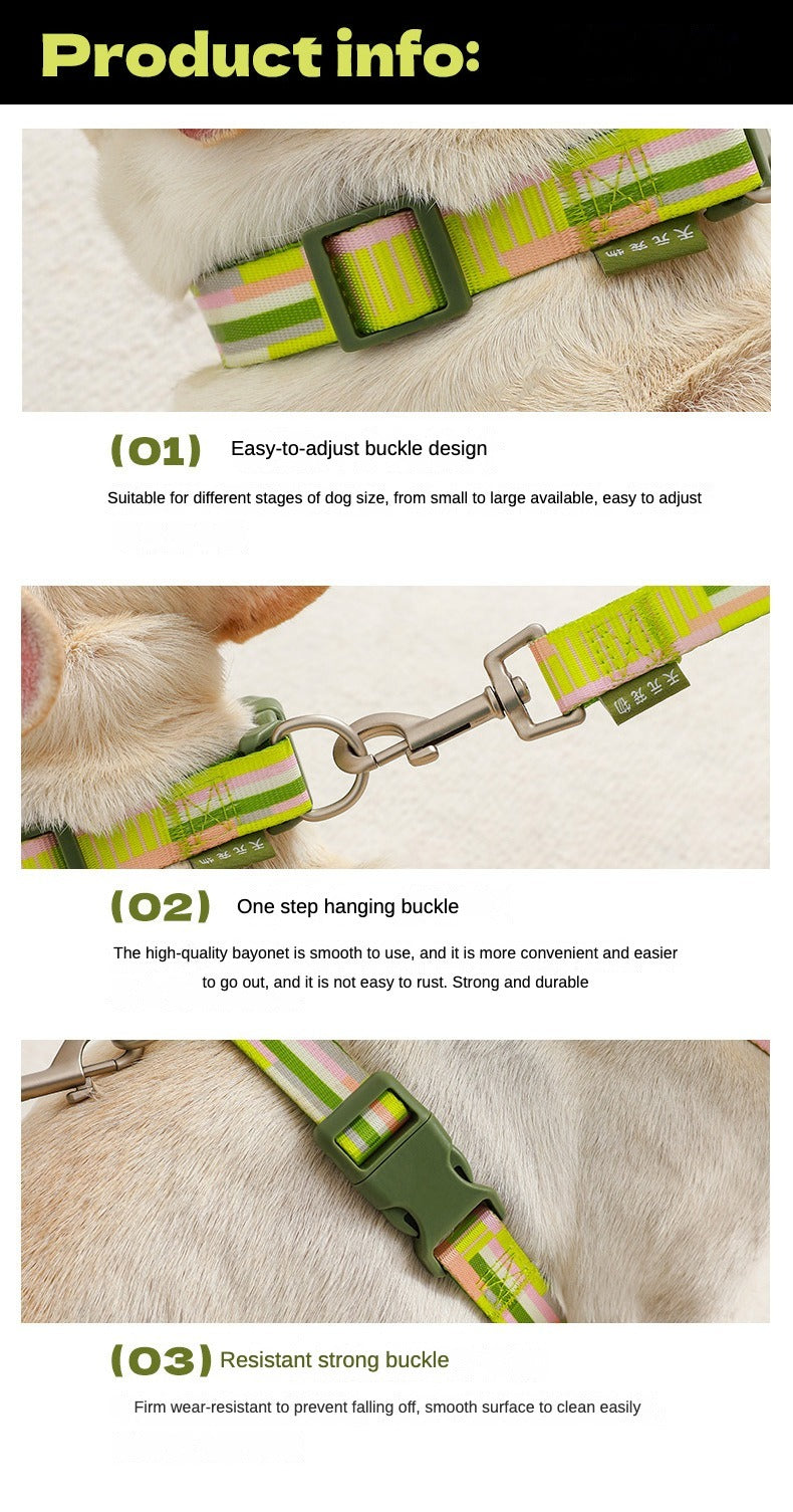 Pet Adjustable Leash Set