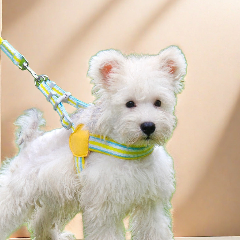 Bright Color Pet Leash Vest Type Dog Walking Leash